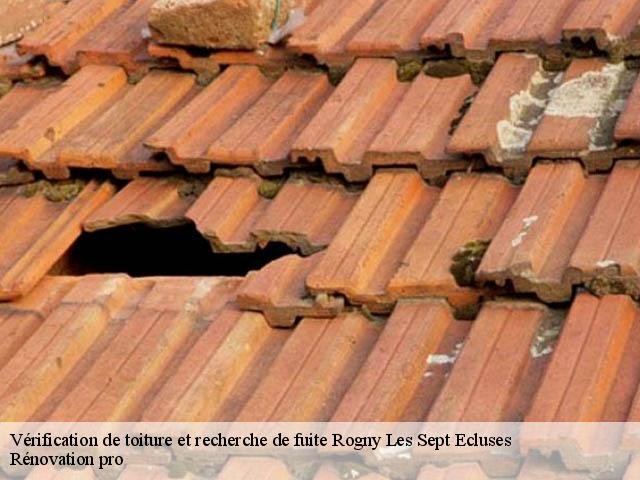 Vérification de toiture et recherche de fuite  rogny-les-sept-ecluses-89220 Rénovation pro 
