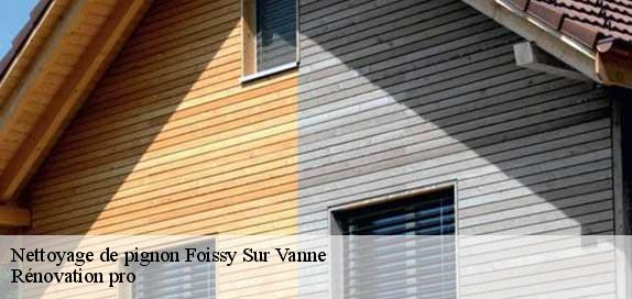 Nettoyage de pignon  foissy-sur-vanne-89190 Service Rénovation