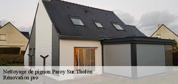 Nettoyage de pignon  89300