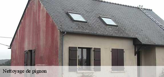 Nettoyage de pignon 89350