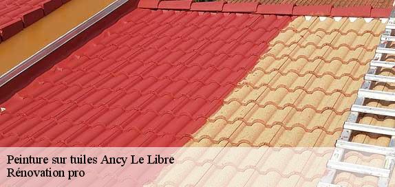 Peinture sur tuiles  89160