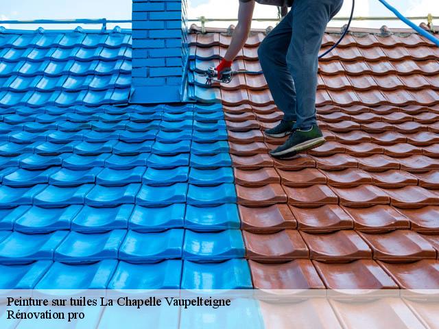 Peinture sur tuiles  la-chapelle-vaupelteigne-89800 Rénovation pro 