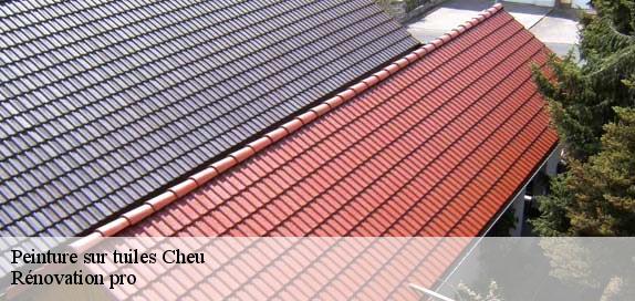Peinture sur tuiles  89600