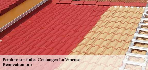 Peinture sur tuiles  89580