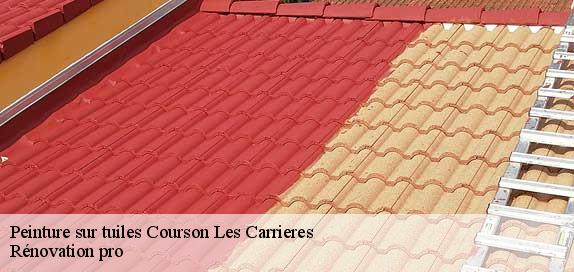 Peinture sur tuiles  89560