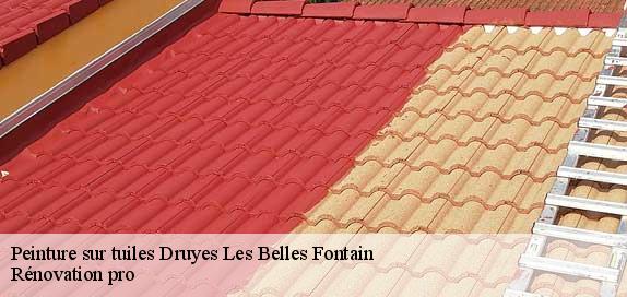 Peinture sur tuiles  89560