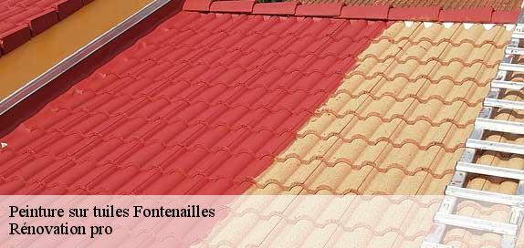 Peinture sur tuiles  89560