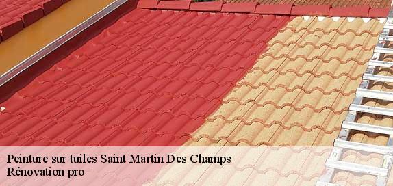 Peinture sur tuiles  89170