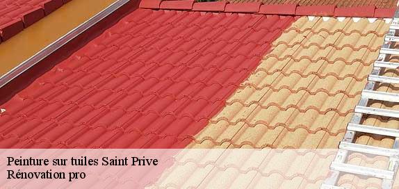 Peinture sur tuiles  89220