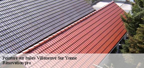 Peinture sur tuiles  89500